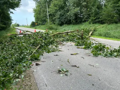 Power Restoration Continues After Severe Storm Hits Waterloo Region