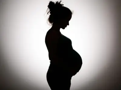 Quebec Town's Tree Rights Resolution Exposes Abortion Law Gap in Canada