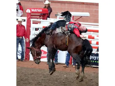 Richmond Champion Retires a Winner at Calgary Stampede with 90-Point Ride
