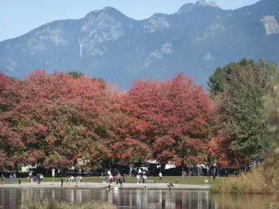 Vancouver Tower Exemption Threatens North Shore Mountain Views