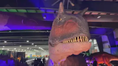 Weekend Events in Manitoba: Jurassic Quest, Motley Crue, First Fridays July 3-5, 2026