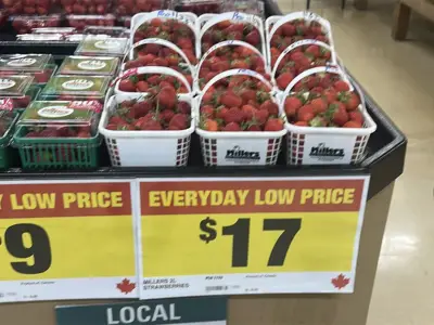 Why Canadian strawberry prices are soaring past $10 a basket