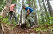 30 Years of Trail Care: Kananaskis Stewardship Milestone