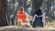 9 Must-Have Items for Camping with Your Dog in 2024