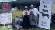 A Vegan's Satirical Dog Meat Farm Exposes Our Carnivore Hypocrisy