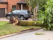 Aurora Storm Clean-Up Underway After Severe Damage