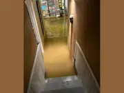 Basement Flooding Reported in Parts of Windsor-Essex
