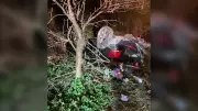 B.C. man who drove into ocean for 2024 livestream charged in new crash