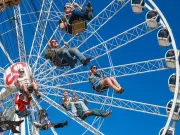 Calgary Stampede Sees Influx of Social Media Influencers in 2026