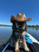 Calgary Weather: Hot, Sunny Days Ahead for Rest of Week