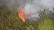 Campfire Sparked Johnson Lake Wildfire, MNR Says, Seeking Help