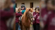 Community Picnic with Therapy Horses at VTRA Fundraiser in Saanichton