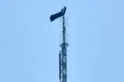 Couple Arrested After Scaling Empire State Building Antenna for Proposal
