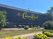 Diageo Reaches Deal to Sell Former Crown Royal Bottling Plant in Amherstburg