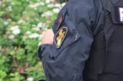 Dog shot by officer during firearms investigation in Saskatoon