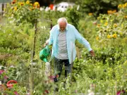Expert Gardening Advice: Water Deeply, Avoid Overwatering
