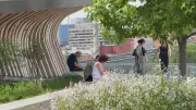 Extreme Heat and Severe Thunderstorm Warnings in Effect for Ottawa on Canada Day
