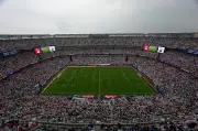 FIFA Sells World Cup Final Field in $450 Pieces as Souvenirs
