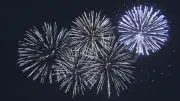 Fire Risk Delays Canada Day Fireworks in Newfoundland and Labrador