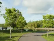 Fisher Lake in Saint John Reopens for Swimming After Closure