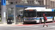 Free London Transit Saturday for Canada-Morocco World Cup match