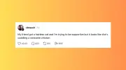 Funniest Tweets From Women: July 2, 2026