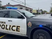 Group attacked in B.C. park by males with machete, knife; two charged