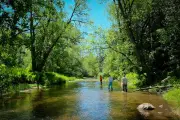 Group Fights to Create North America's Largest Urban Park in Ontario