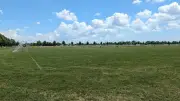 Grub infestation damages sports fields at LaSalle's Vollmer Complex