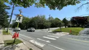 Halifax Police Report Surge in Pedestrian-Vehicle Collisions in 2026