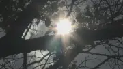 Heatwave Continues into Canada Day: Up to 37°C Expected in Simcoe County