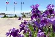 Hot and Sunny Weather Dominates Forecast for Windsor Region