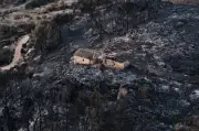 Hundreds of firefighters battle deadly wildfire in southern Spain