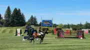 Hundreds of Riders Compete at Ottawa Equestrian Tournament