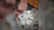 'It's obliterated': Farmers, residents reel after southwestern Manitoba storm