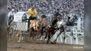 Jason Glass Takes Advantage of Fast Track at Rangeland Derby, Wins $6,500
