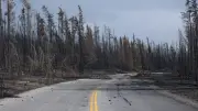 Jasper National Park Recovery Two Years After Wildfire: What's Open and Closed