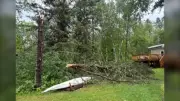 Kenora Cleanup After Violent Storms Hit Manitoba and Ontario