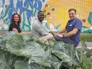 Lowertown Community House reopens as hub after food bank moves out