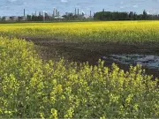 Meta's $13B Data Centre in Sturgeon County: Economic Game Changer