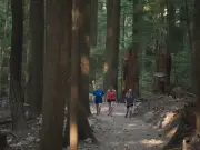 Metro Vancouver outside workers strike indefinitely at 25 regional parks