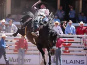Newcomers Roedy Farrell, Coleman Shallbetter, Noah Lee win bronzes at Calgary Stampede Day 4