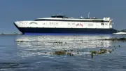 Nova Scotia-to-Maine ferry sees uptick in passengers compared to 2025