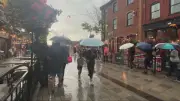 Ottawa Braces for Another Thunderstorm After Record Downpour