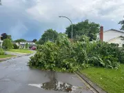 Ottawa Faces Sweltering Heat After Record-Smashing Rainfall