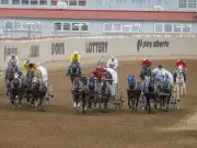 Outriders Crucial in Calgary Stampede Chuckwagon Races