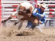 Ponoka Bulldogger Clay Guthrie Shines in Calgary Stampede Debut