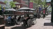 Restaurant industry leads Canada in youth job growth in 2026: StatsCan
