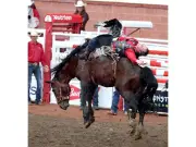 Richmond Champion Retires a Winner at Calgary Stampede with 90-Point Ride