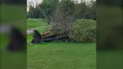 Seaforth Golf Club Closes After Severe Storm Damage